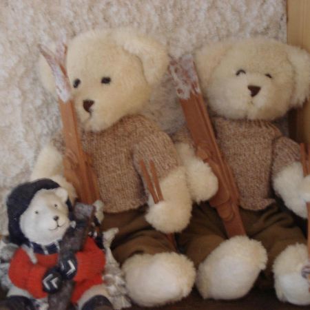 빌라쉬르올롱 Petit Ours 아파트 외부 사진